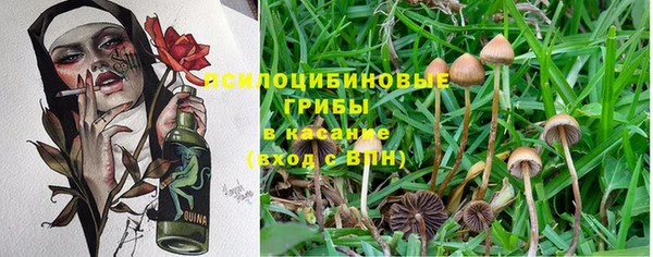 ECSTASY Краснотурьинск