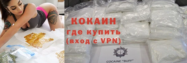 прущие грибы Краснослободск