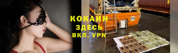 прущие грибы Краснослободск