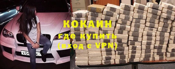 прущие грибы Краснослободск