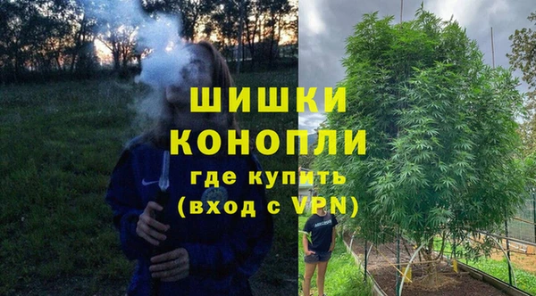 прущие грибы Краснослободск