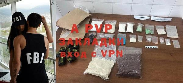 прущие грибы Краснослободск