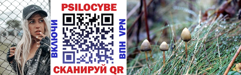 сайты даркнета Telegram  Нарьян-Мар  Галлюциногенные грибы MAGIC MUSHROOMS 