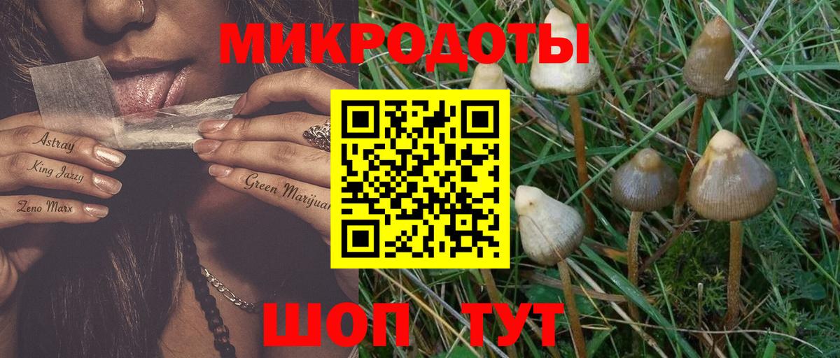 Нарьян-Мар  Галлюциногенные грибы MAGIC MUSHROOMS  Вход с VPN 